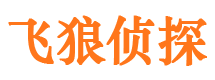 青铜峡私家侦探公司